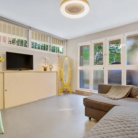 Casa Xio アパート トレモリノス